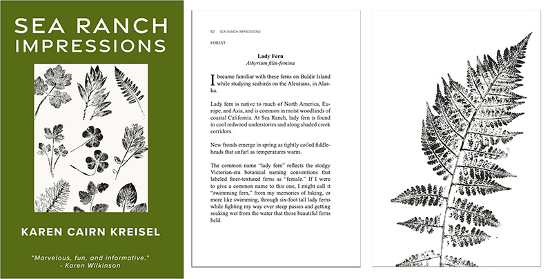 Sea Ranch Impressions